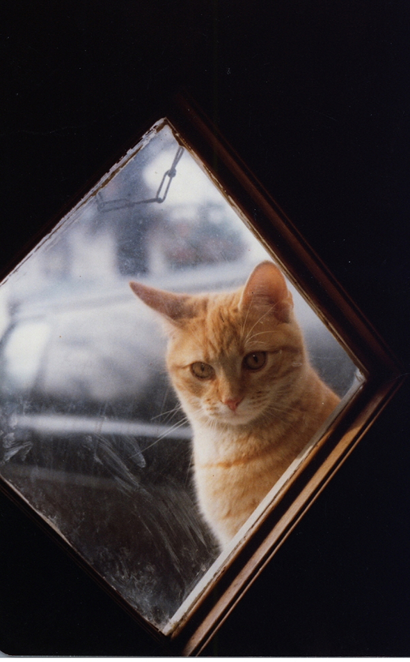Photograph 046